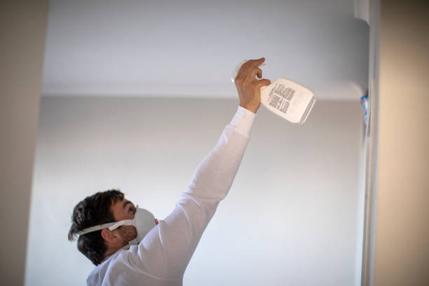 Best Best Mold Removal Companies  in Somers, WI