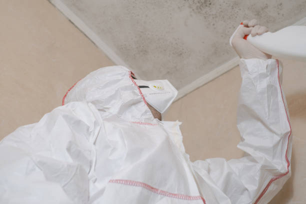 Best Emergency Mold Removal  in Somers, WI